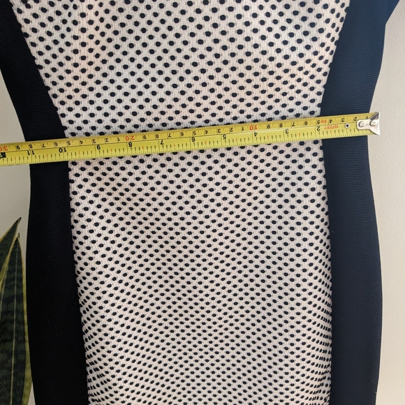 Polka dot Max and Cleo XS cocktail dress - Picture 6 of 8